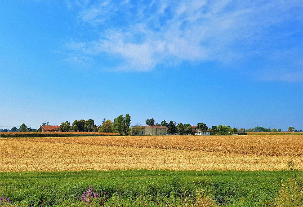 Cascina