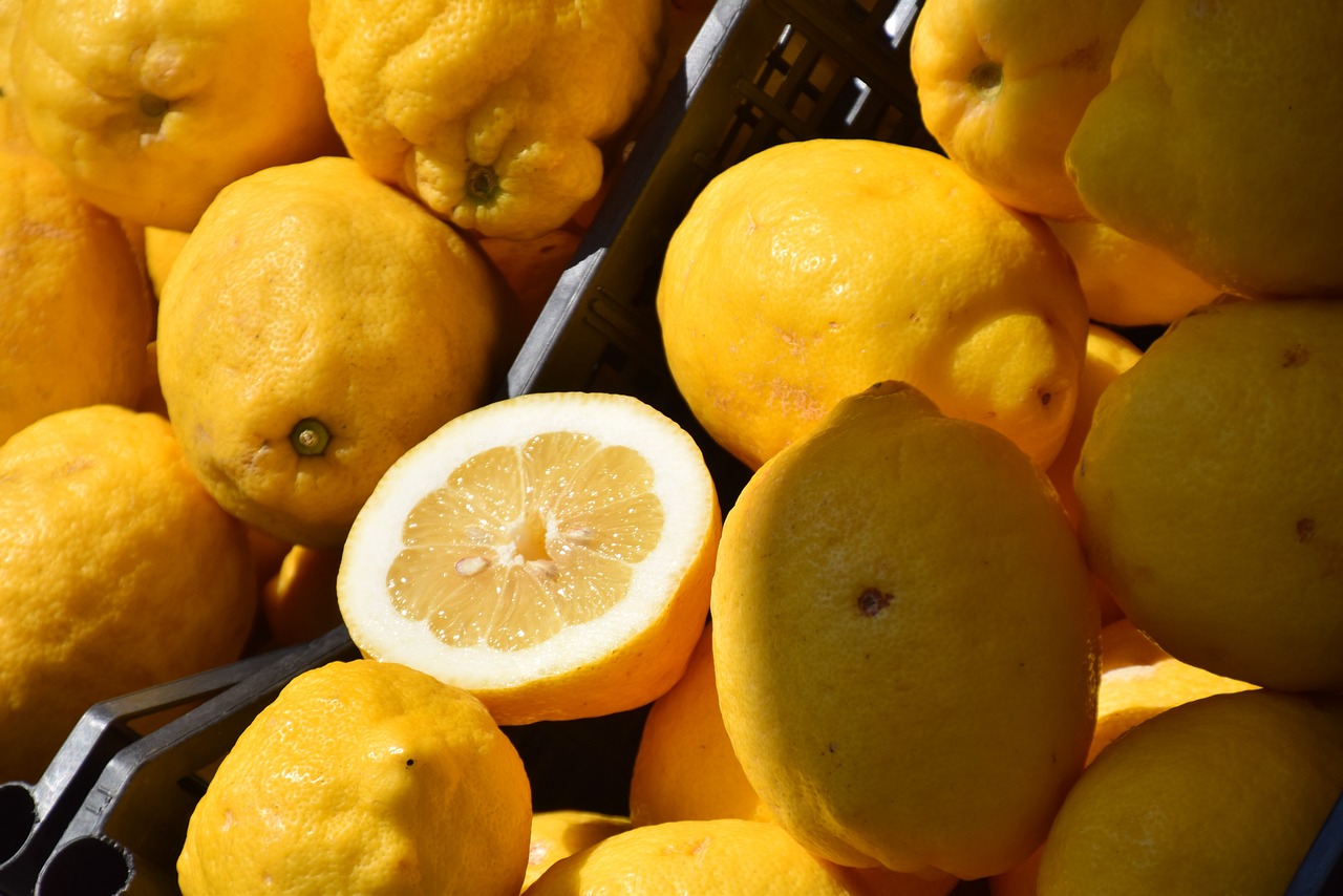 Palmas Arborea