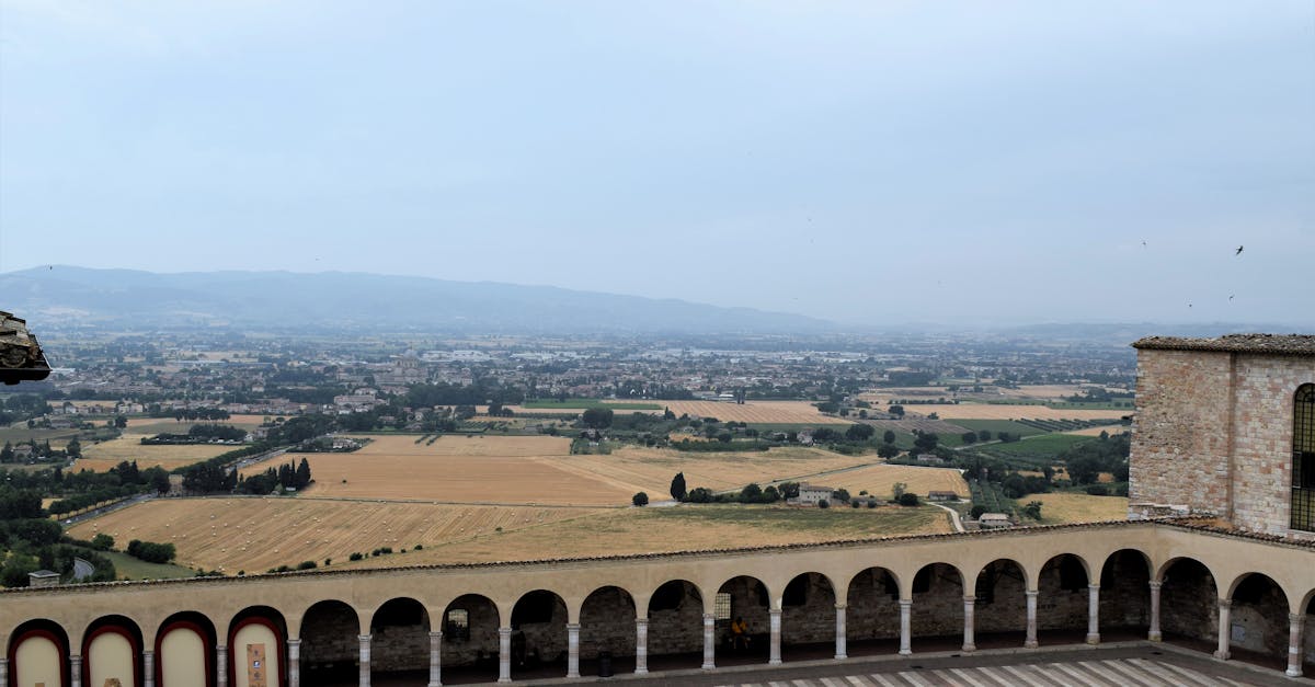 Viterbo